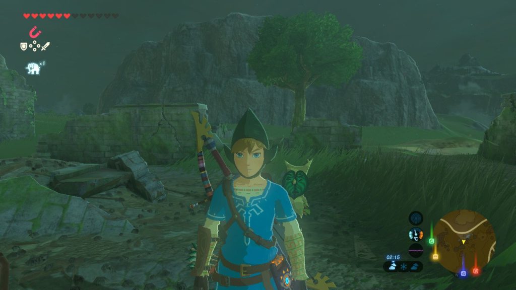 Link with Tingle hat