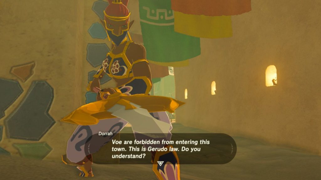 A Gerudo guard is gendering me and, based on that assumption, stops me from entering Gerudo Town