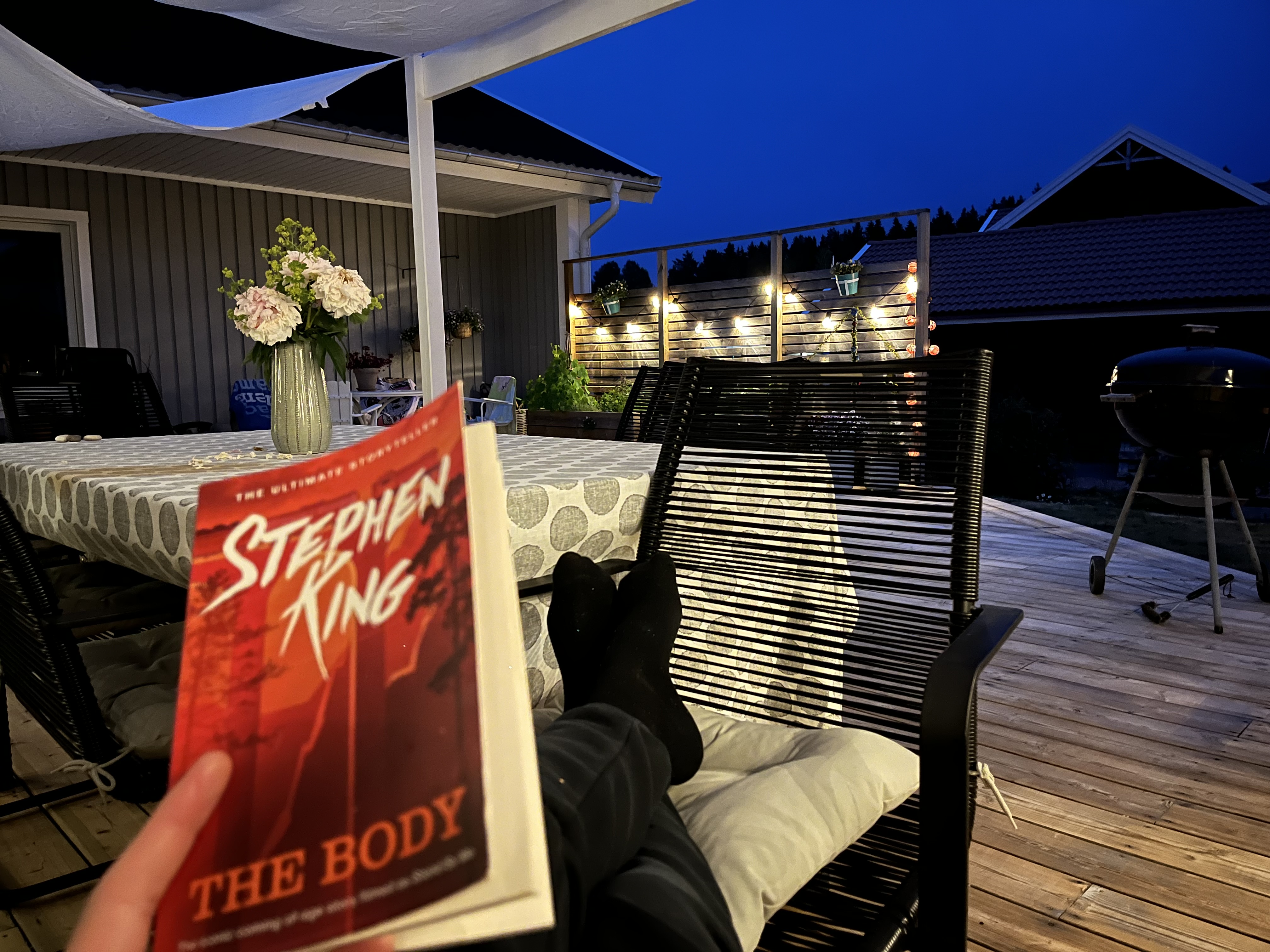 My POV on the deck. Book in hand.